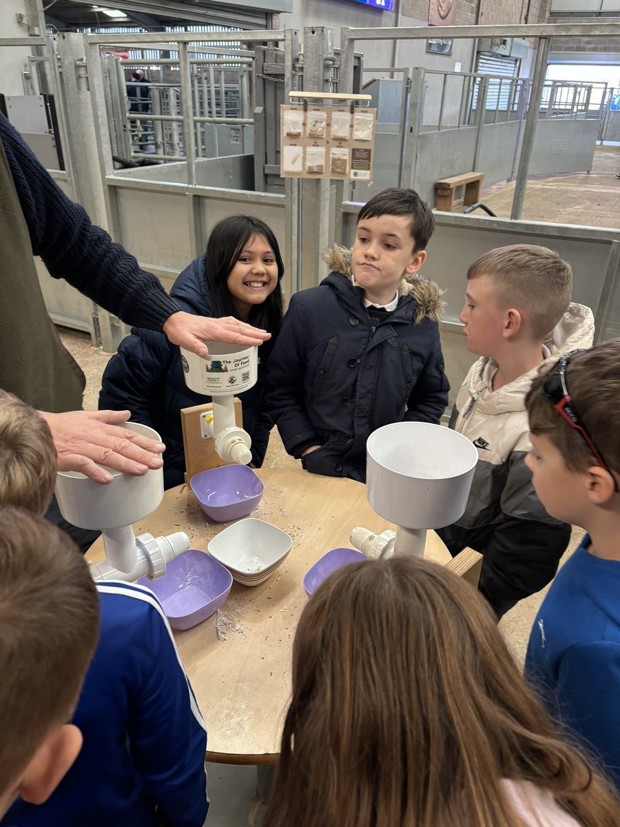 _MissMcKechnie_'s tweet photo. Primary 5 and 6  enjoyed their trip to the United Auctions. We now know lots of amazing facts about the land, the animals and what they produce. 🚜 🐄 🐓🌾 https://t.co/k3MoZa02CL