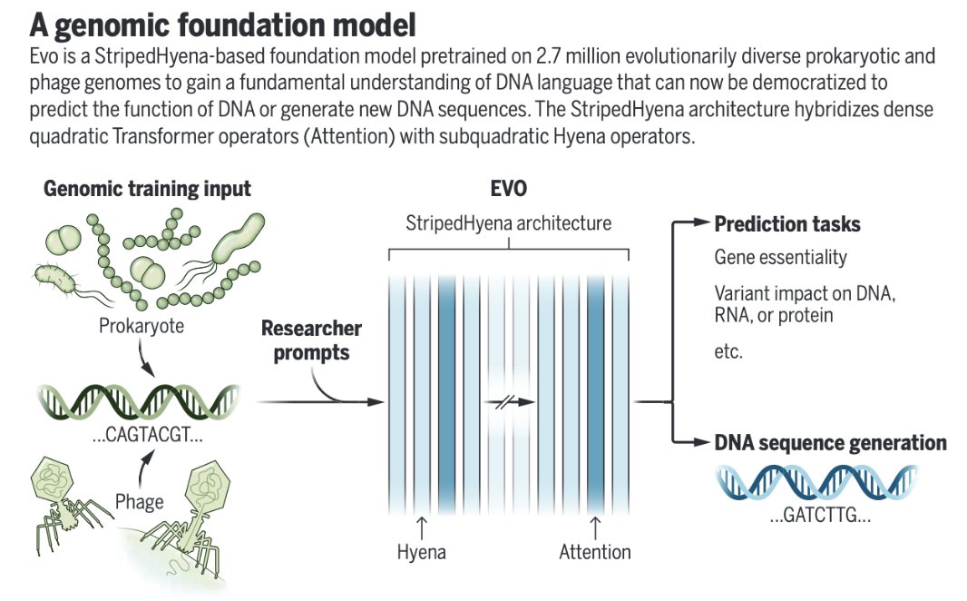 Importance of this model nicely contextualized in this commentary
Next up:
"The ability to predict the effects of mutations across all layers of regulation in the cell and to design DNA 
sequences to manipulate cell function would have tremendous diagnostic and therapeutic