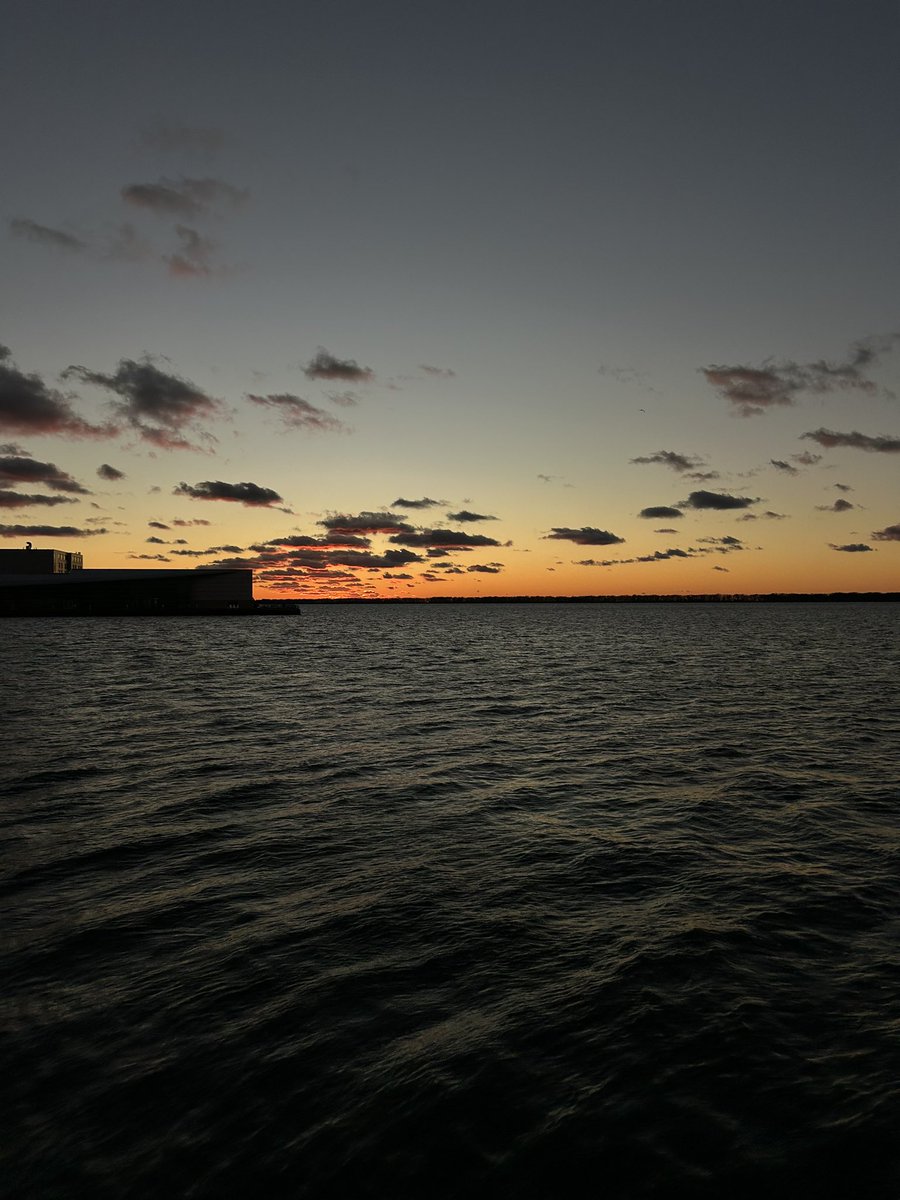 Hannah Wyman tweet media