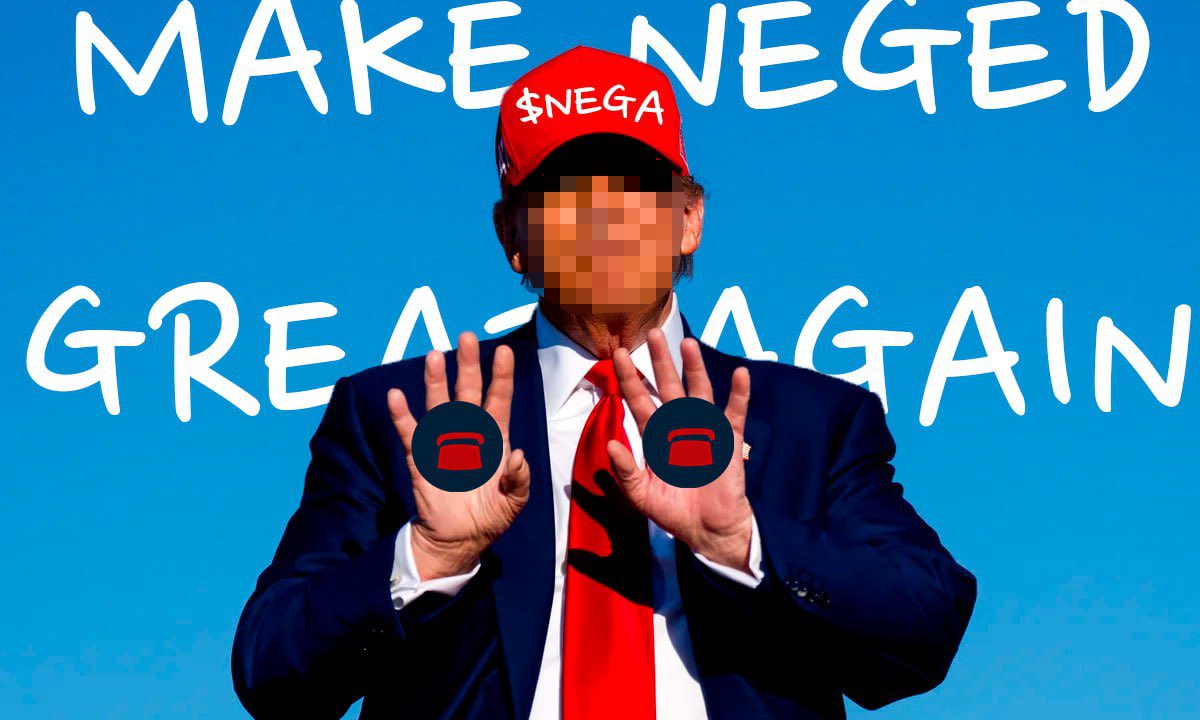 negeD 2.0 tweet media