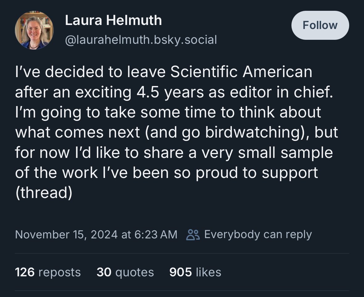 wombot 👀 tweet media