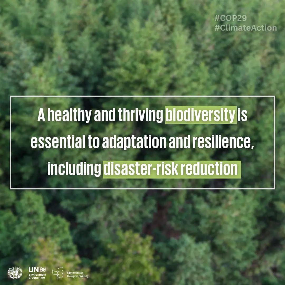 UN Biodiversity tweet media