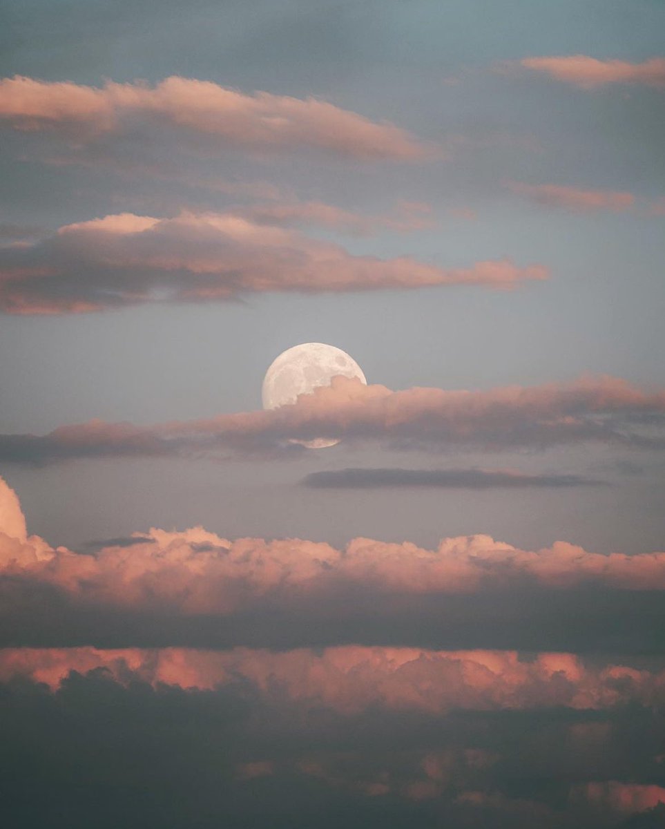 earthcurated's tweet image. Post a picture YOU took. Just a pic. No description