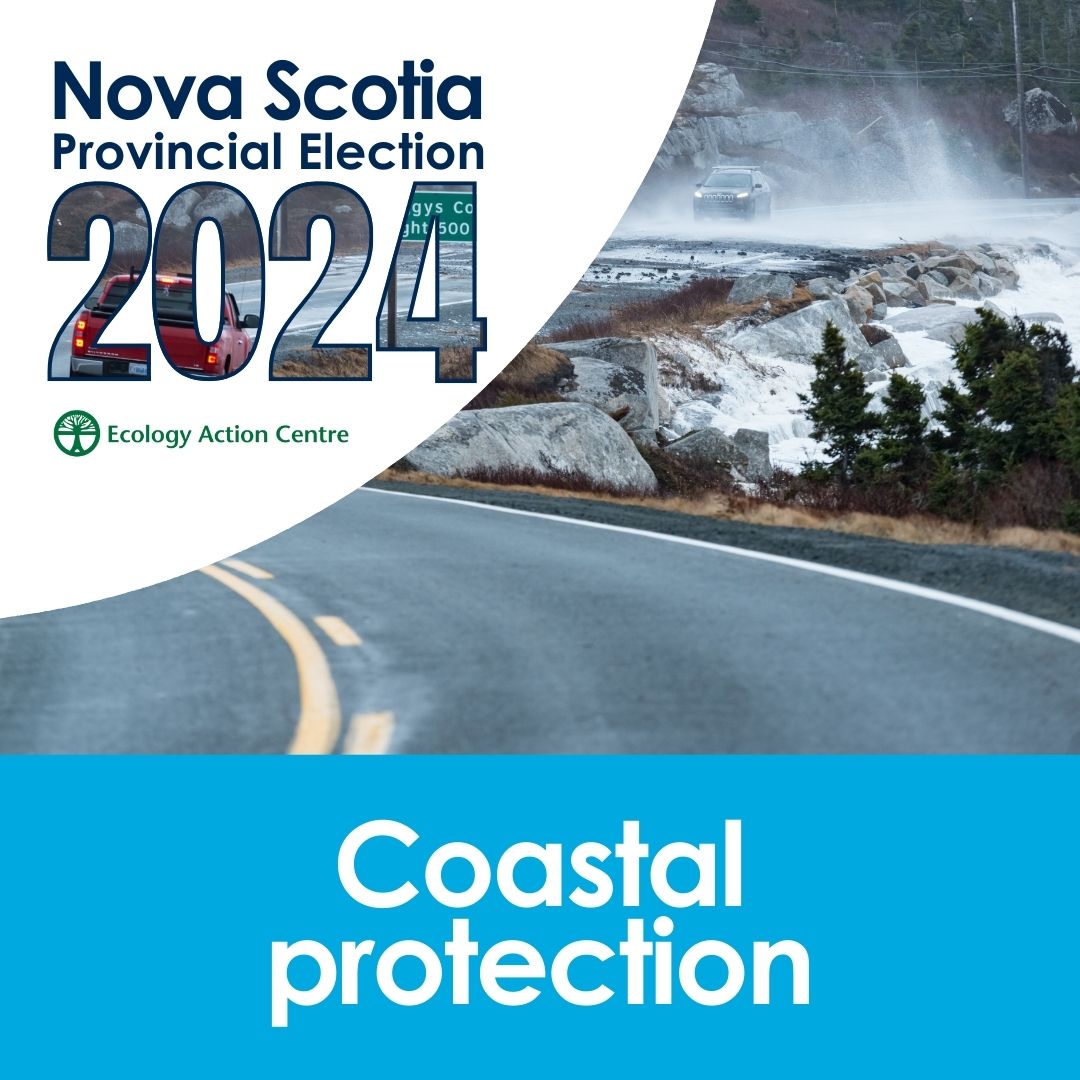 EcologyAction's tweet photo. This election, make coastal protection part of the conversation ✅️
 
The EAC has developed a voter toolkit to help you talk to candidates about seven important environmental issues – like strong coastal protection legislation 🌊

Get the full toolkit at https://t.co/amZrfVyxL7 https://t.co/4XmNhOk3Hn