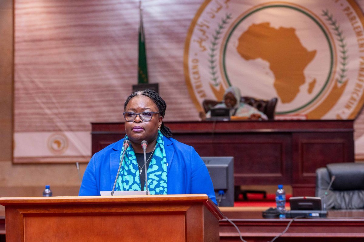 Ms. Chansa Kapaya, Bureau Director of UNHCR’s Southern Africa Regional Bureau commended the Pan-African Parliament's dedication to developing a Model Law on Citizenship and Statelessness Prevention, a step she called a significant milestone for the continent. With millions across
