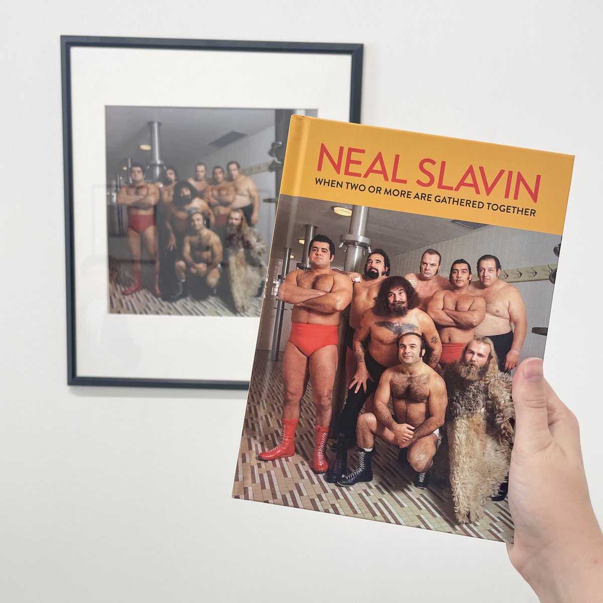 PDNB Gallery tweet media