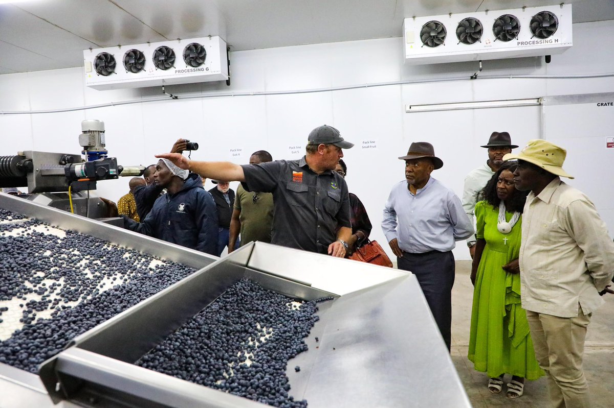 DrNangoloMbumba's tweet photo. Today I paid a visit to the Sikondo Irrigation Scheme, Uvhungu-Vhungu Irrigation Project, and the Mashare Irrigation and Blueberry Project in Kavango East.

I emphasized the importance of direct engagement, highlighting our commitment to advancing food security and sustainable agricultural development in Namibia.