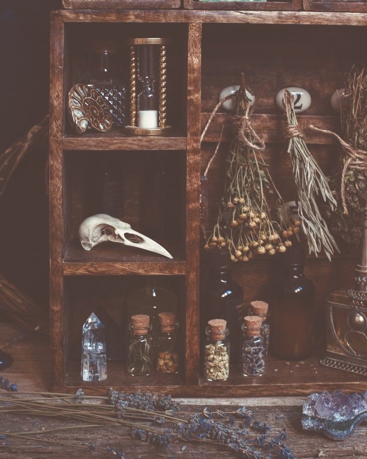 KynigPup's tweet photo. Over at Lady Khali’s eating snacks and listening to stories about the forest. 

Very few things keep the feral girl as still as the witch’s stories… https://t.co/CXtWorhNzx