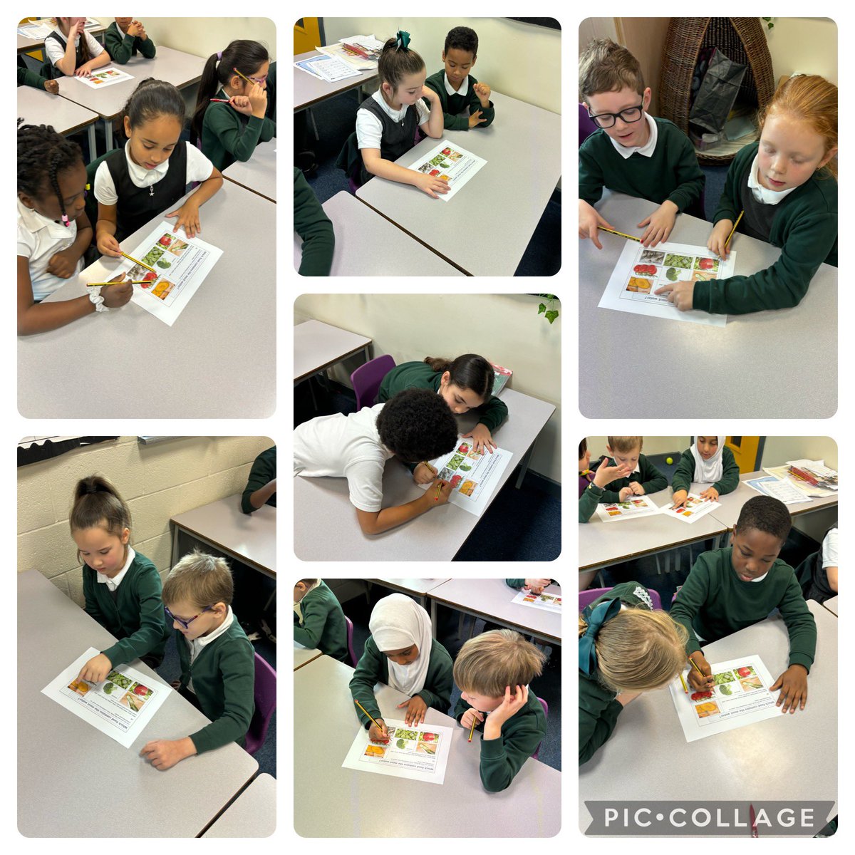Miss Lambert (@misslamberthg) on Twitter photo In science, we are learning all about the needs of animals. Today, we looked at how animals and humans take in water. We looked at a variety of foods and had to guess which had the most water and which had the least! <a href="/hgprimary/">Heygreen Primary</a> <a href="/RainbowEduMAT/">Rainbow Education MAT</a> In science, we are learning all about the needs of animals. Today, we looked at how animals and humans take in water. We looked at a variety of foods and had to guess which had the most water and which had the least! <a href="/hgprimary/">Heygreen Primary</a> <a href="/RainbowEduMAT/">Rainbow Education MAT</a>