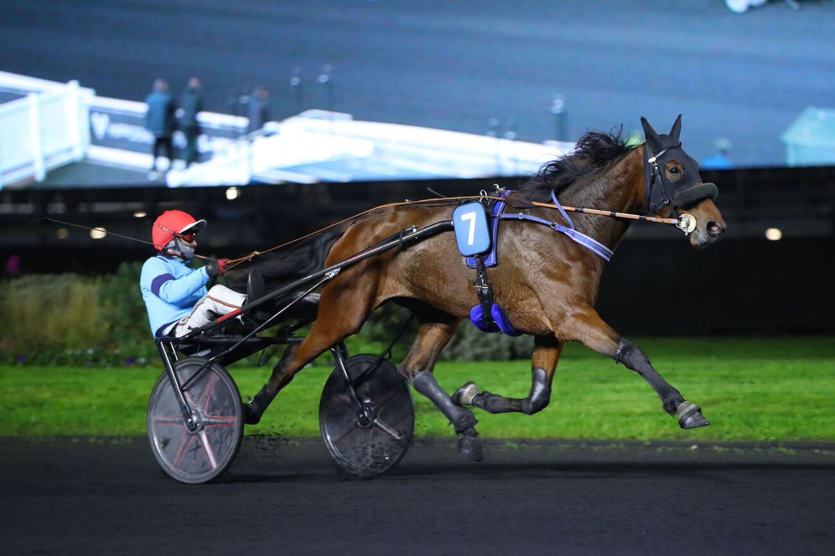 EcurieGuarato's tweet photo. 🩵MAGIC AMERICA🩵 (Love You x Tootsie Smiling) s’impose avec @RaffinEric pour ses débuts @Vincennes_Hippo ! Bravo @jpmicholet 😃🙌🏻🙌🏻
Prix des Hortensias - attelé - 2850m - https://t.co/U1sKTlnKa6 1’15’’30
#trot #TeamGuarato #winner 🏆
📸Scoopdyga https://t.co/vx1tOYSl8U