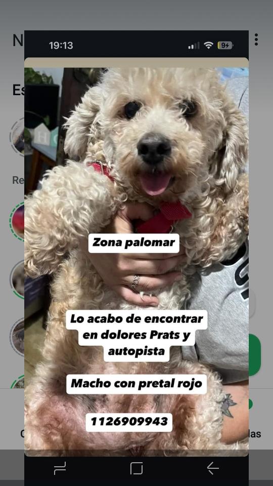 patripeyrou's tweet photo. Difundimos https://t.co/xzu5eX04m5