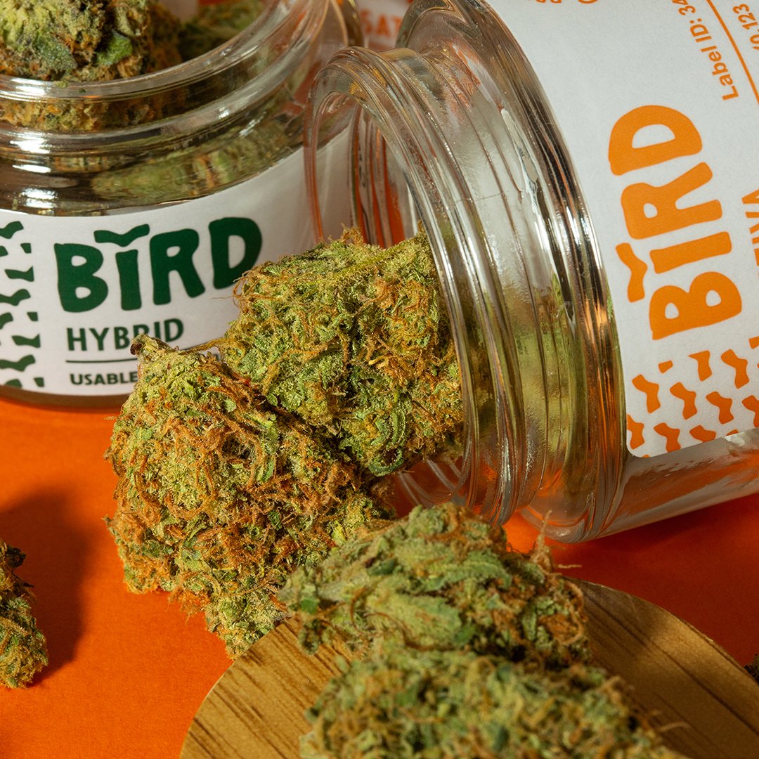 BurntRiverFarms's tweet image. 🔥 Elevate your sesh with Bird—premium indoor cannabis that’s always a step above. 🌿 Quality you can trust, grown with care. #BirdCannabis #IndoorGrown

BurntRiverFarms.com