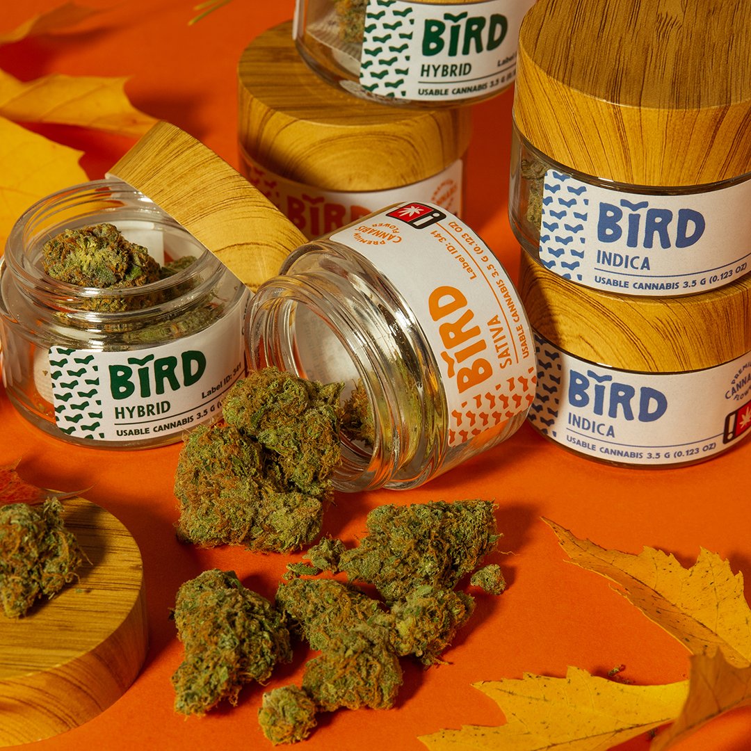 BurntRiverFarms's tweet image. 🔥 Elevate your sesh with Bird—premium indoor cannabis that’s always a step above. 🌿 Quality you can trust, grown with care. #BirdCannabis #IndoorGrown

BurntRiverFarms.com