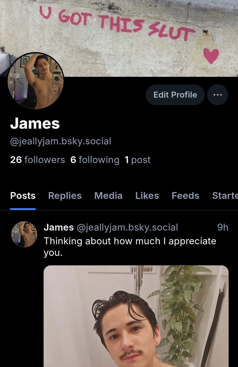 Find me on 🦋
I've been wanting to leave twitter behind for a long time now