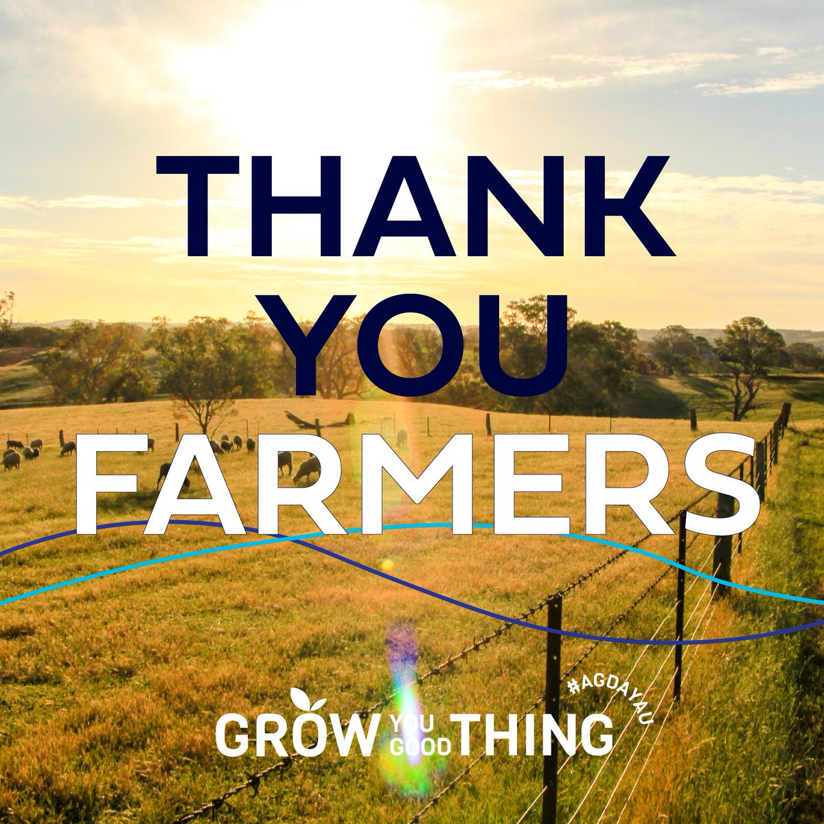Happy National Ag Day to all! #AgDayAU 🌿🐑🚜

Thank you for the exceptional food and fibre you produce, and for your vital role as the lifeblood of regional communities around the country.

We'll always back you. Grow you good things! 👏

<a href="/NationalFarmers/">National Farmers' Federation</a>