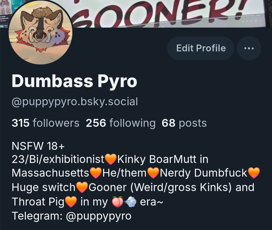 puppy_pyro's tweet photo. Hey just a reminder Im kinda abandoning this account. But I am over on that other place now. https://t.co/w8QxCGjq9i