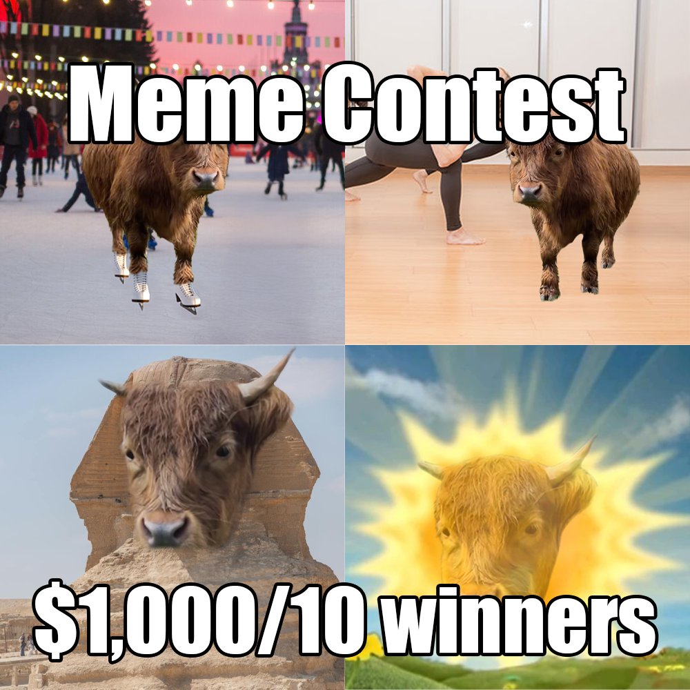 DumpyBullSOL tweet media