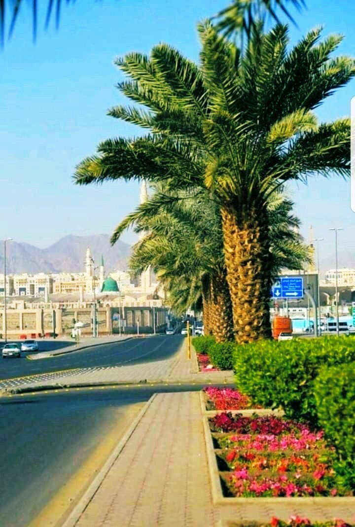 Sahabat Abdullah bin Mas'ud berkata :

Akan banyak di akhir zaman orang² yg mudah naik haji tanpa sebab. Mereka dimudahkan rezekinya. Tapi pulang dgn sia² dan tak membawa pahala. Hal itu disebabkan mereka lalai menolong orang² fakir miskin di sekitarnya.

📚Ihya

Jumat Mubarak 🌹