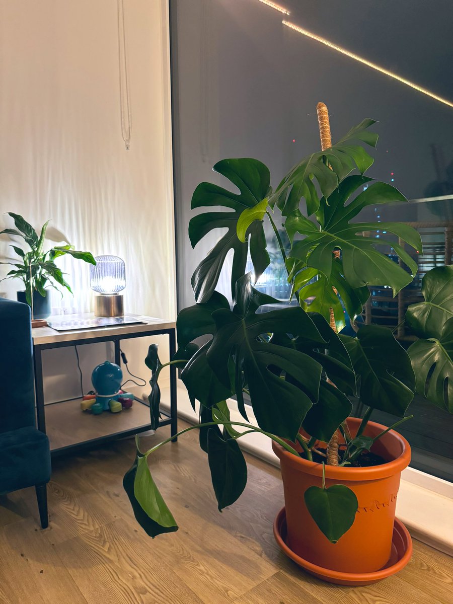 Hiren Patel tweet media