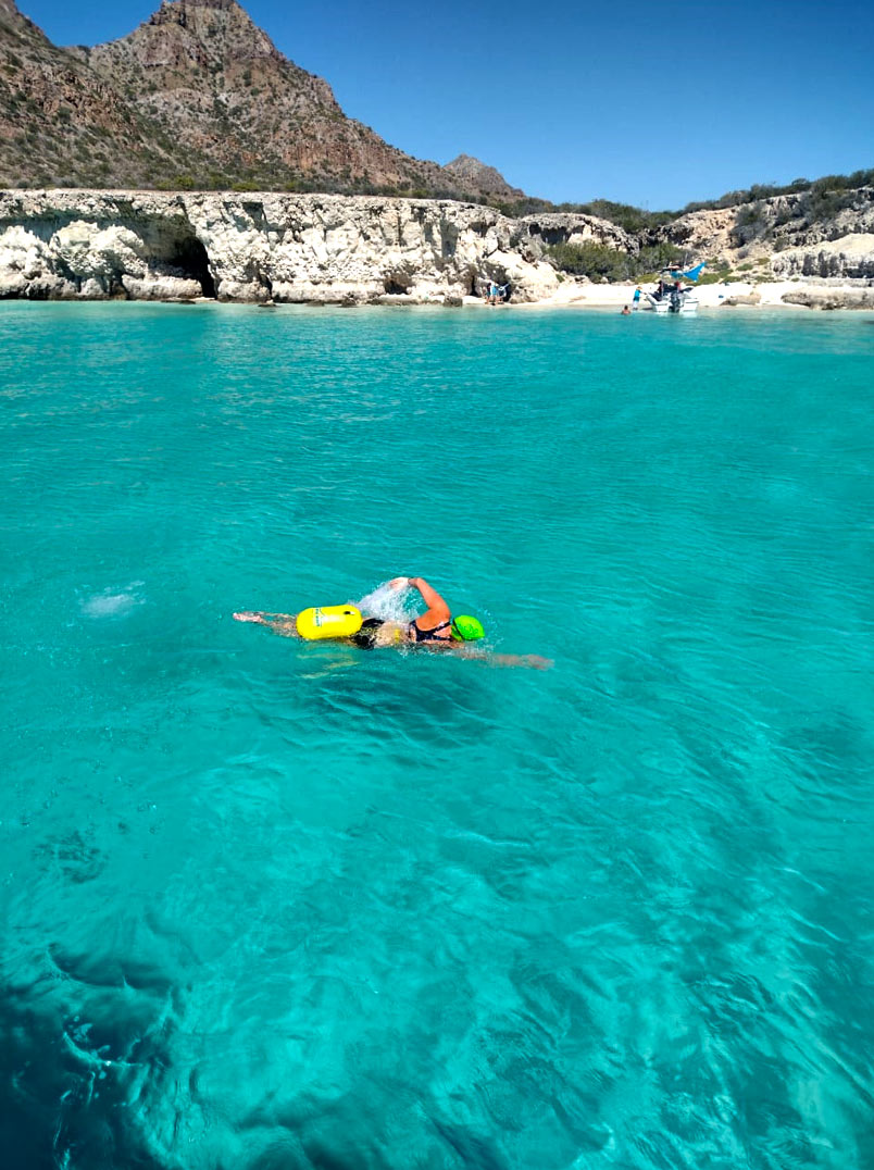 borutstrel's tweet photo. Our Baja, #Mexico #Loreto #swimming #trips continue with warm water and great swimming conditions this week.  The temps are cooling down now but still pretty warm down here! https://t.co/jQFcCg1Zkz https://t.co/3VhKr3qqbj