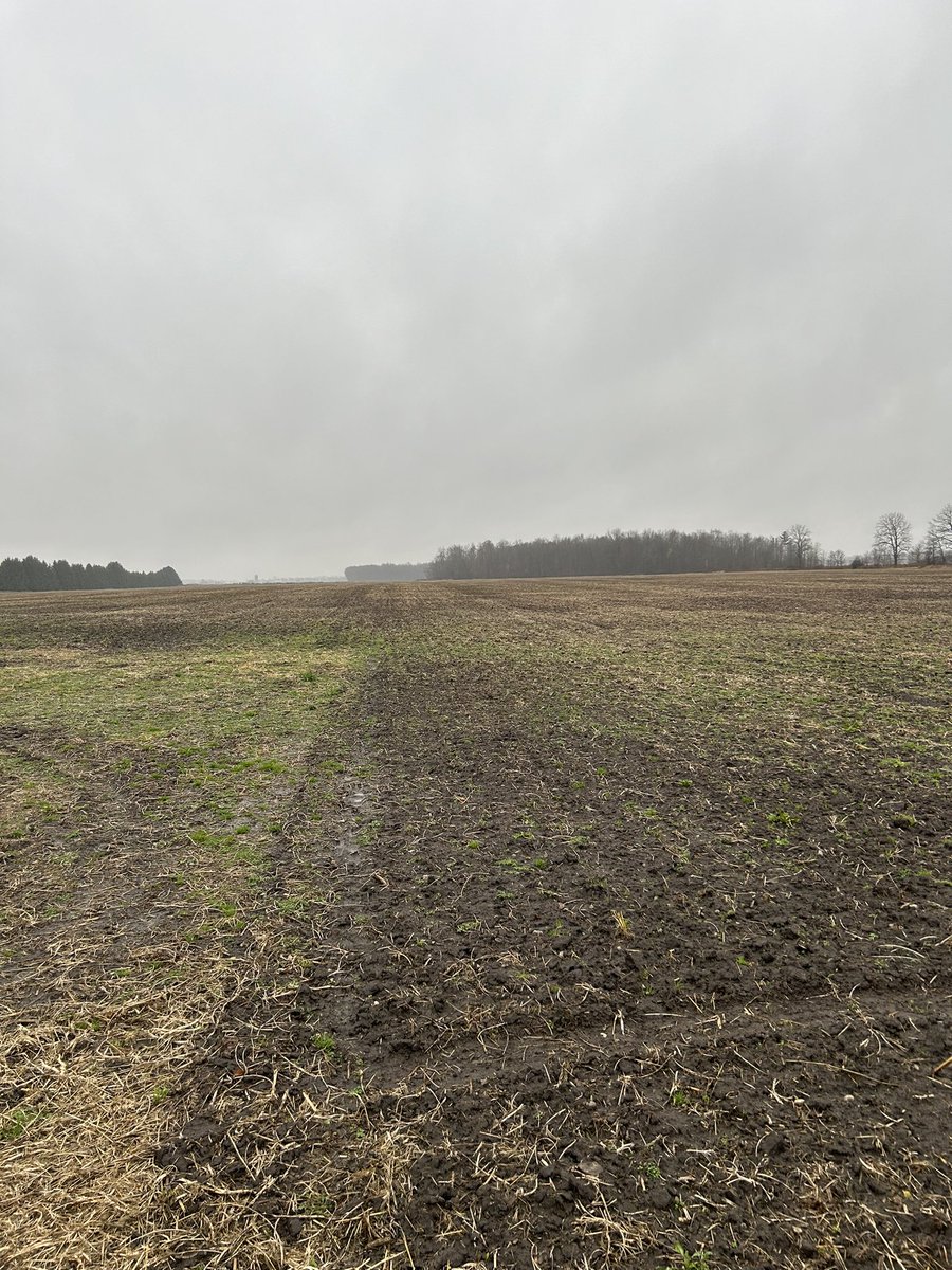 FARM FOR SALE
6901 Bentpath Line, Florence, Ontario
68 +- acres total
60 +- acres workable
systematically tiled
Asking $1,550,000
Call 519-402-1076
Retweets Appreciated