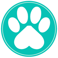 An581993's tweet photo. Share your #PAWS 🐾 https://t.co/GsEeD3kxzv