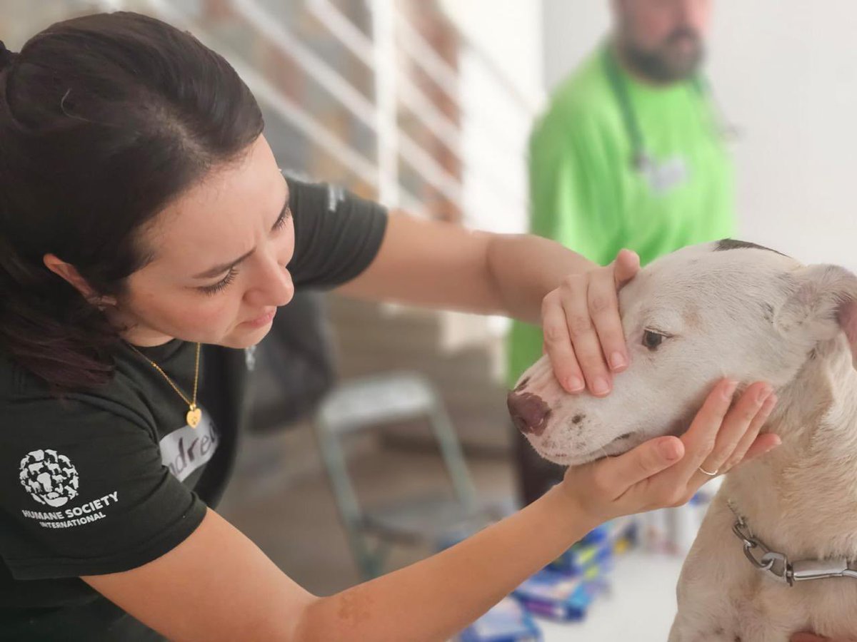 Humane World for Animals Mexico tweet media