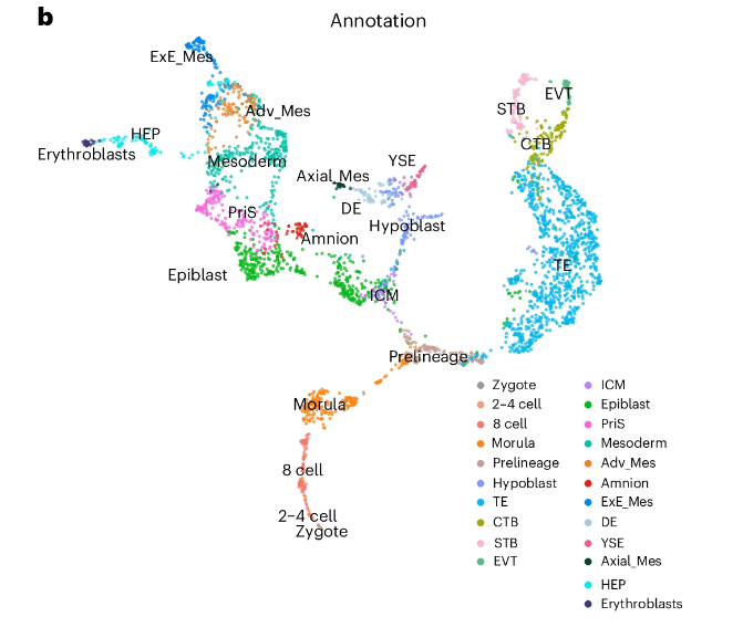 Nature Methods (@naturemethods) on Twitter photo A Resource developed by the teams of <a href="/fredrik_lanner/">Fredrik Lanner</a> and <a href="/Scwin2/">Sophie Petropoulos</a> provides a transcriptional reference map of human embryonic development spanning the zygote to gastrula stages and a webtool (petropoulos-lanner-labs.clintec.ki.se) for comparative studies.
nature.com/articles/s4159… A Resource developed by the teams of <a href="/fredrik_lanner/">Fredrik Lanner</a> and <a href="/Scwin2/">Sophie Petropoulos</a> provides a transcriptional reference map of human embryonic development spanning the zygote to gastrula stages and a webtool (petropoulos-lanner-labs.clintec.ki.se) for comparative studies.
nature.com/articles/s4159…