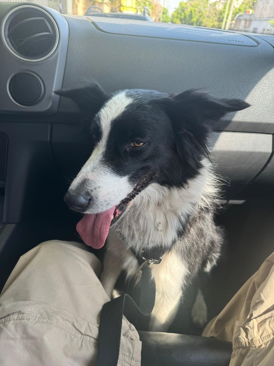 Celsa Ramirez tweet media