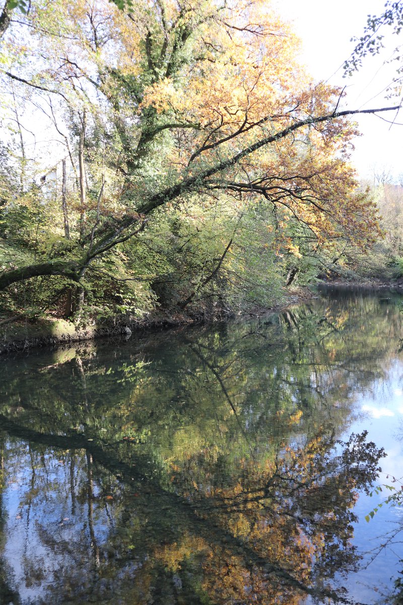 JOGallice's tweet photo. 0️⃣ La lettre d’infO (la quotidienne annécienne) 🤍

Sélection journalière à destination de 12 réseaux sociaux et de 3 messageries instantanées en provenance directe de mon infolettre 📧

#Annecy #GrandAnnecy #HauteSavoie #Savoie #SavoieMontBlanc #Alpes #France #UE #Europe https://t.co/llnsVTkB6V