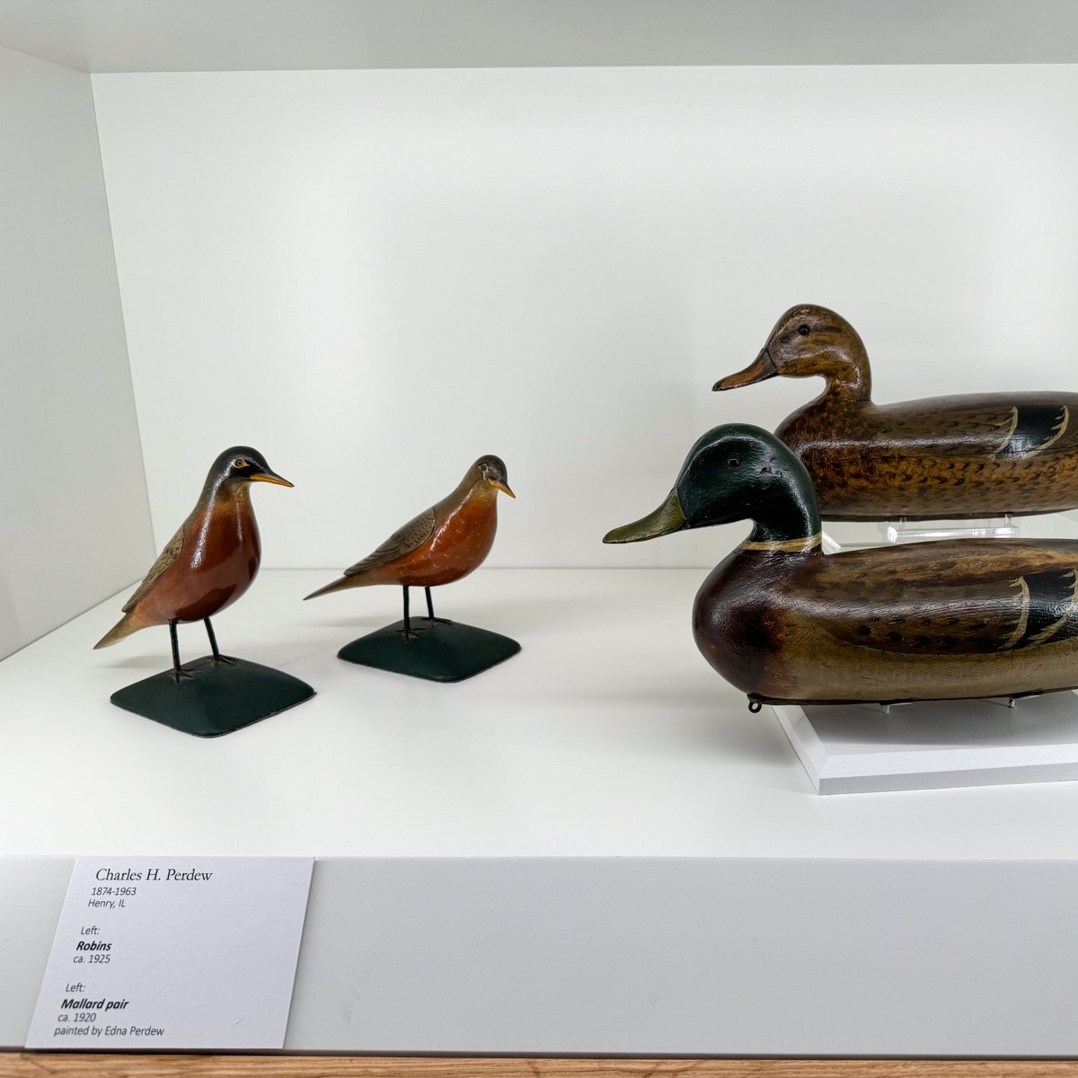 Environmental Lights is thrilled to have partnered with the Peoria Riverfront Museum to illuminate the Masterworks showcase at the Center for American Decoys.

Click here for the full story! bit.ly/4hL3mDk

#EnvironmentalLights #LightFixture #Lighting #AccentLighting