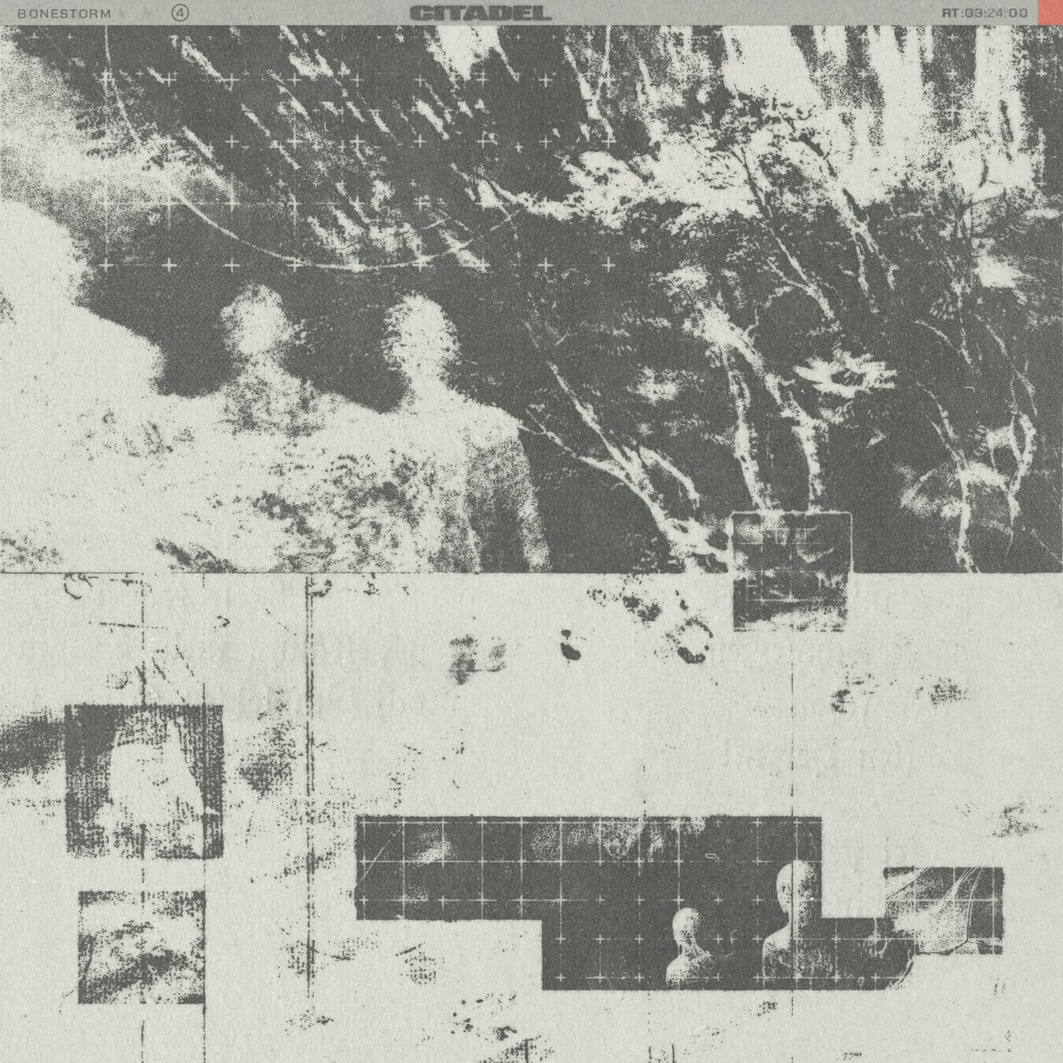 Dan Barkle tweet media