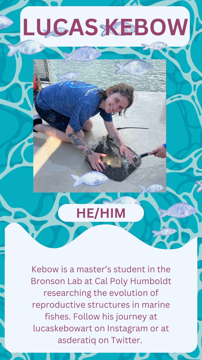 First trans scientist feature is Lucas Kebow! He is a MSc student in the Bronson Lab at Cal Poly Humboldt studying the evolution of reproductive anatomy and biology of tube-snouts (Family Aulorhynchidae). Follow him @asderatiq on Twitter!