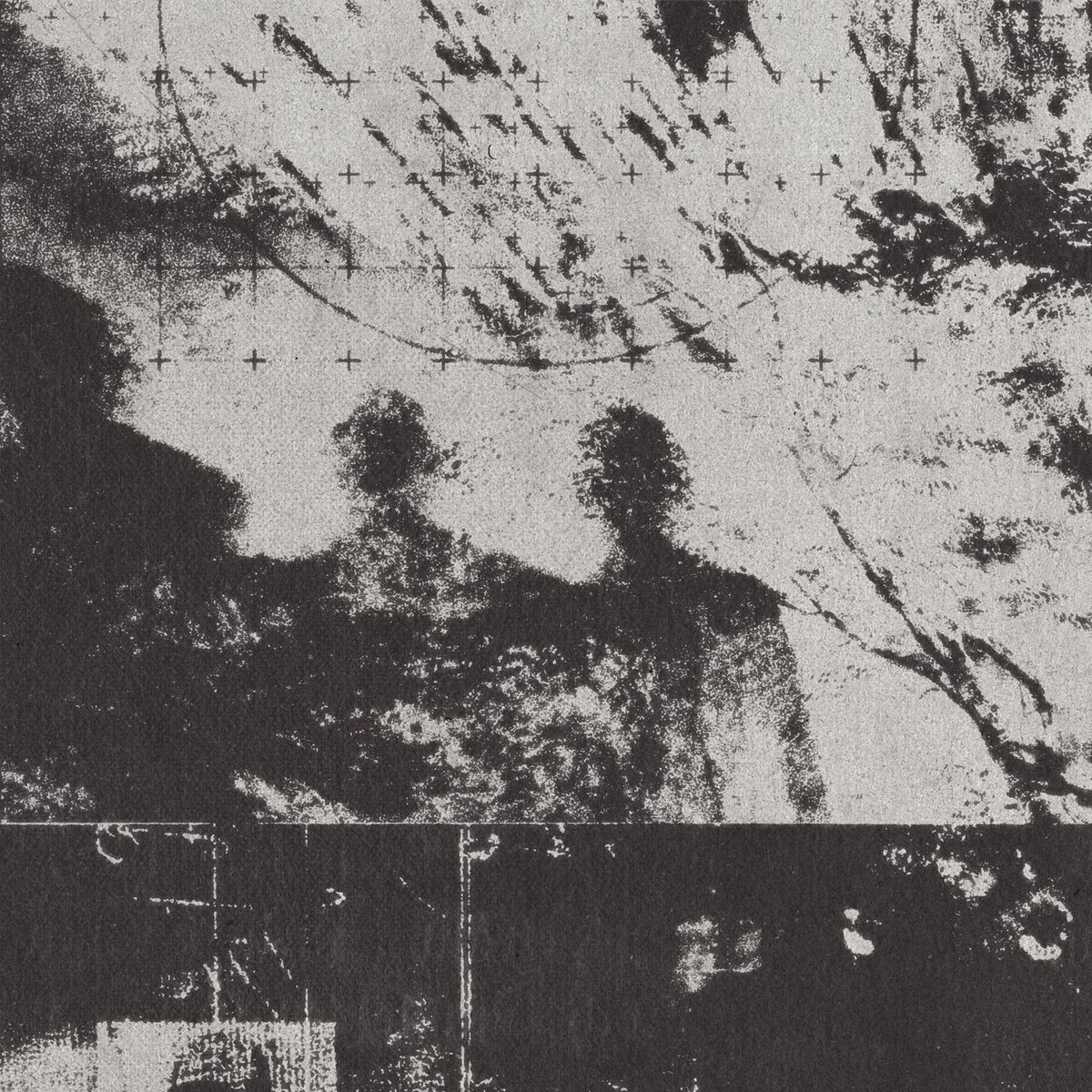 Dan Barkle tweet media