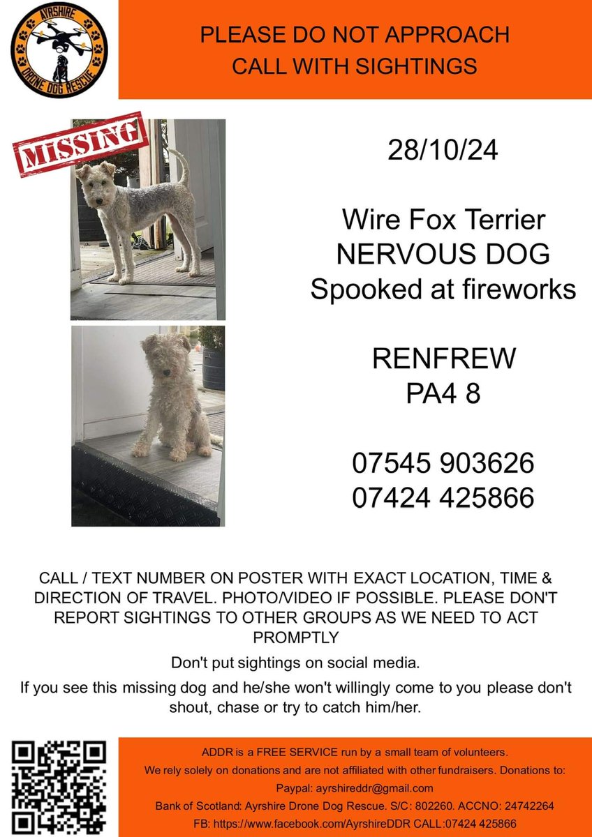 LandFSquareDogs's tweet photo. Please help Millie Share to ALL your Socials, she needs to be with her Family https://t.co/jtrgqANi0F