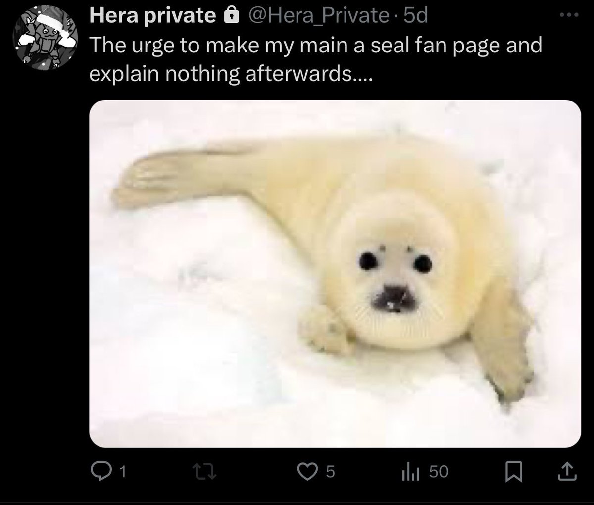 heracrossfan69's tweet image. Follow my private if you haven’t! It’s in my bio #ShamelessPlug