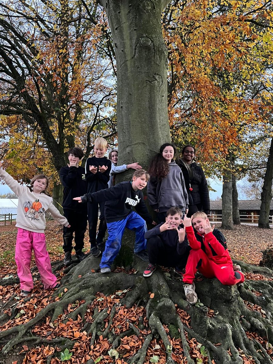 thongsleyfields's tweet photo. A full-on day today with more climbing, zipping, laser tag and of course, food! So much food! All finished off with singing and stories around the campfire this evening. #PGL2015 https://t.co/rt5iDhpxfj