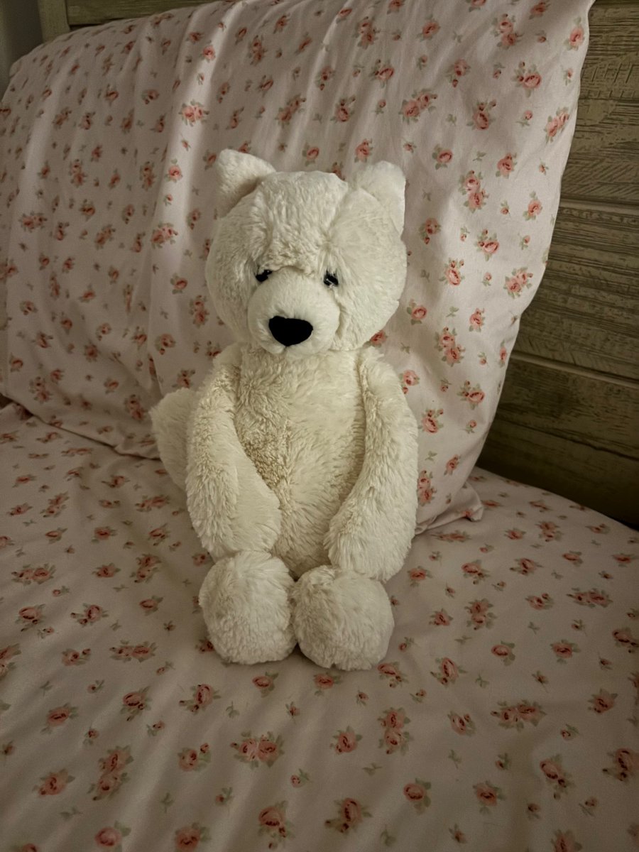 everyone meet my new jelly cat frankie