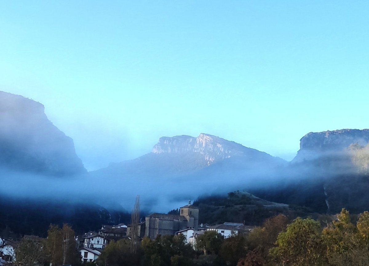 AznarezLus tweet picture