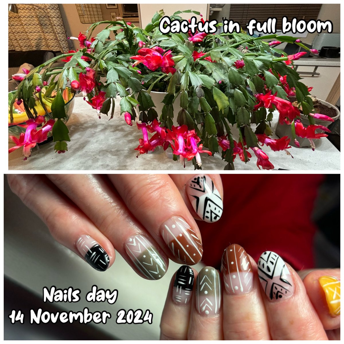 Gill Bracey tweet media