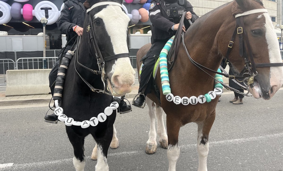 dailyreputation's tweet photo. wake up babe debutation horses spotted in tayronto https://t.co/iOxzU201BN