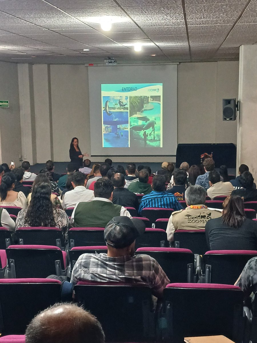 ADEMM_2019's tweet photo. ADEMM presente en el programa de capacitación de la AAZK del XLII congreso AZCARM con el tema " Bienestar animal de mamíferos marinos bajo cuidado profesional " impartido por la MVZ Renée Arreola. Felicidades! https://t.co/zwlCm5rgDP