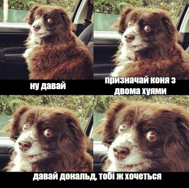 CapNotSoFast's tweet photo. моя реакція на інформацію про заплановані призначення https://t.co/9M2KMFCpMO