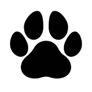 obo_manuel's tweet photo. Share your #PAWS 🐾 https://t.co/UAHVIgsafk