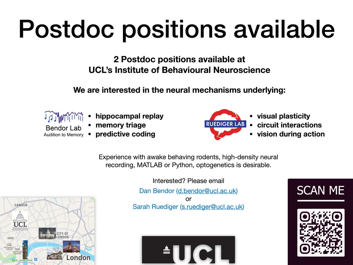 Come join UCL's Institute of Behavioural Neuroscience.  Applications for postdoc positions are now live (closing date Nov 28th)- ucl.ac.uk/work-at-ucl/se…