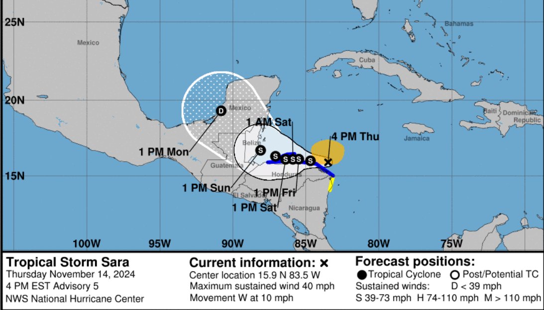 BobbiStorm tweet media