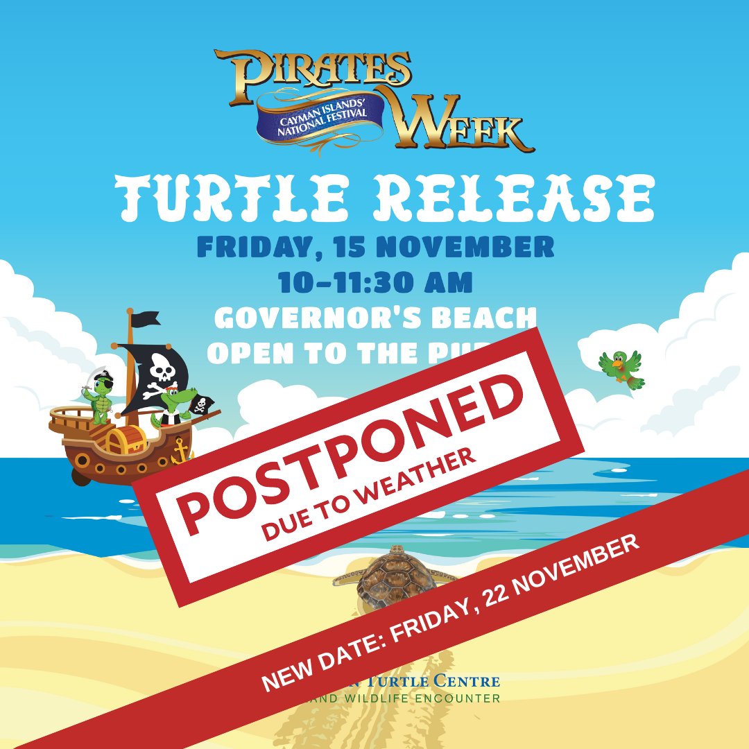 Cayman Turtle Centre tweet media