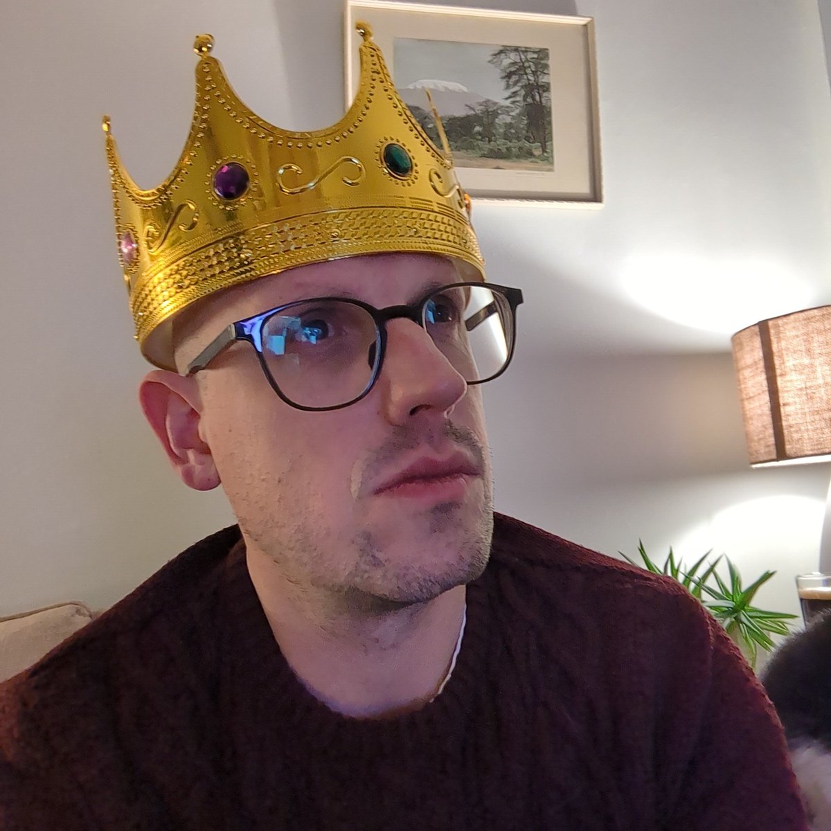 Wardy™ tweet media