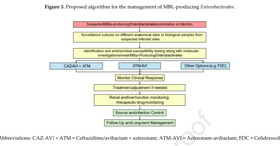 Antibiotic Steward Bassam Ghanem 🅱️C🆔🅿️🌟 (@absteward) on Twitter photo 🆕️🔥Narrative Review <a href="/CMIJournal/">Clinical Microbiology and Infection</a>
Aztreonam and Avibactam Combination Therapy for Metallo-β-Lactamase-Producing Gram-Negative Bacteria #MBL #IDXposts
clinicalmicrobiologyandinfection.com/article/S1198-… 🆕️🔥Narrative Review <a href="/CMIJournal/">Clinical Microbiology and Infection</a>
Aztreonam and Avibactam Combination Therapy for Metallo-β-Lactamase-Producing Gram-Negative Bacteria #MBL #IDXposts
clinicalmicrobiologyandinfection.com/article/S1198-…