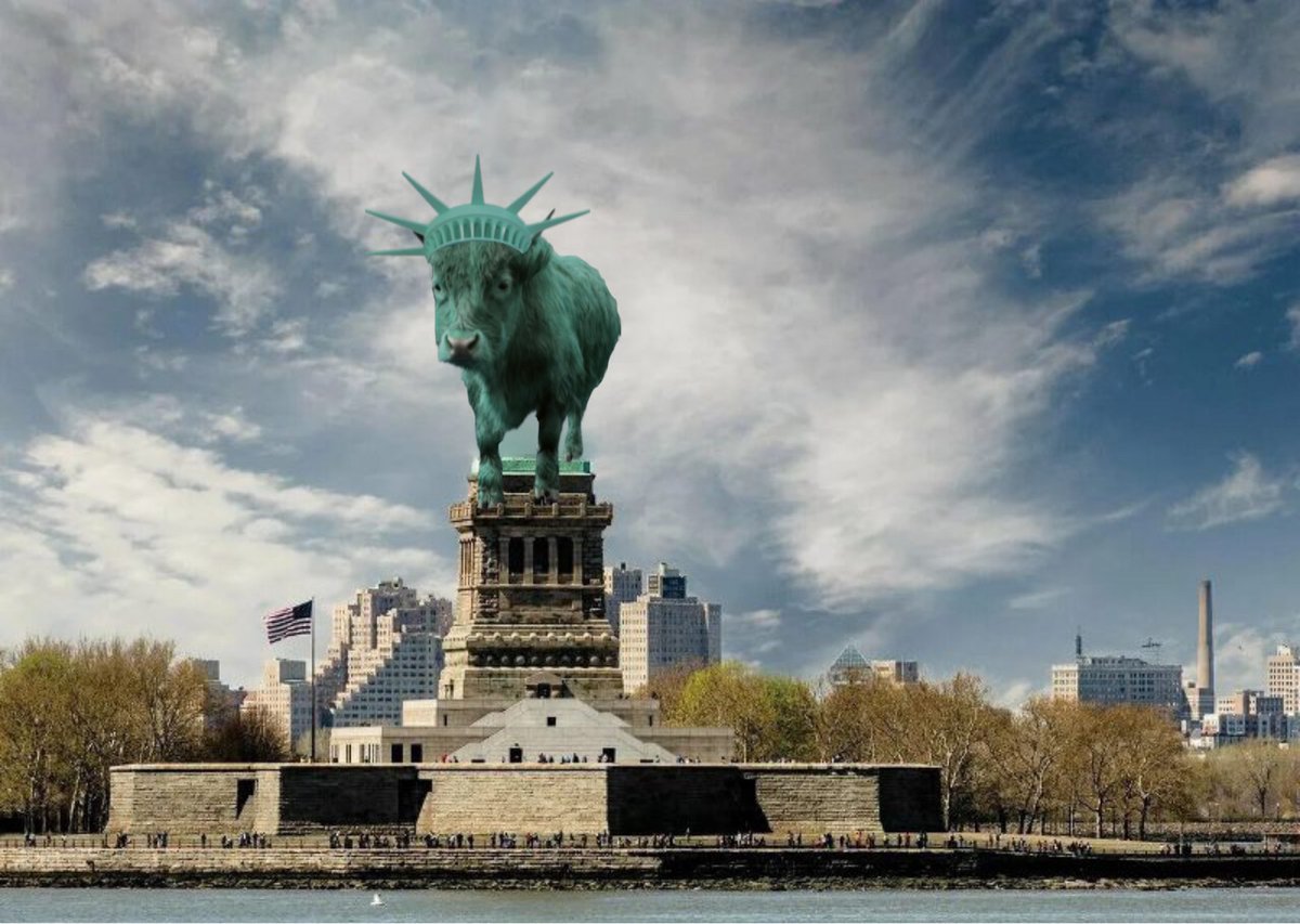 DumpyBullSOL tweet media